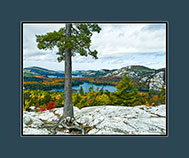 The Crack - Look Out